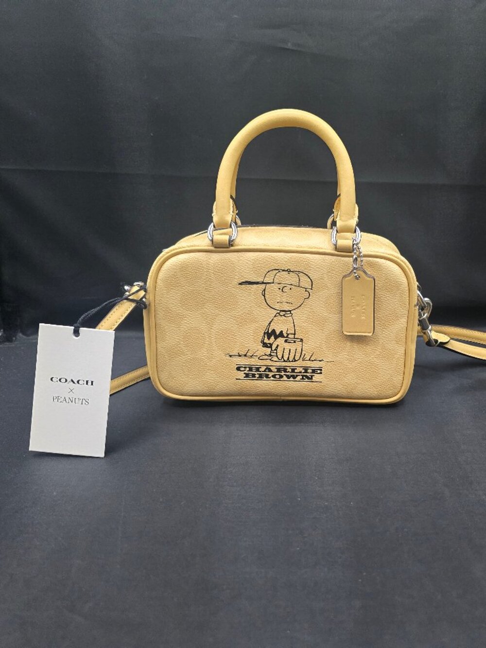Coach x Peanuts Charlie Brown Satchel Crossbody CBJ63